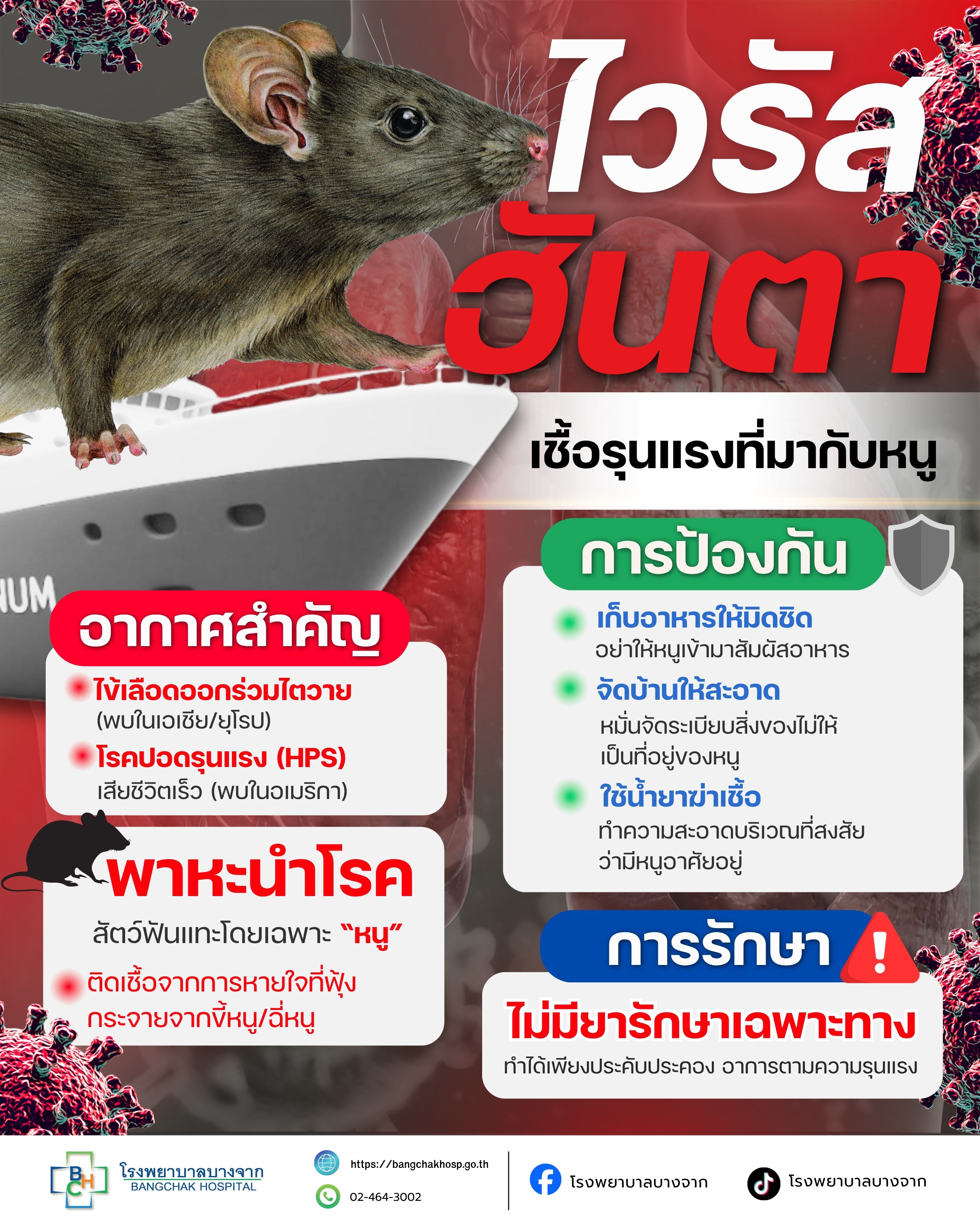 🚨  "โรคติดเชื้อไวรัสฮันตา" (Hantavirus Disease) เป็นโรคติดต่อที่อันตรายถึงชีวิต!🦠🐭